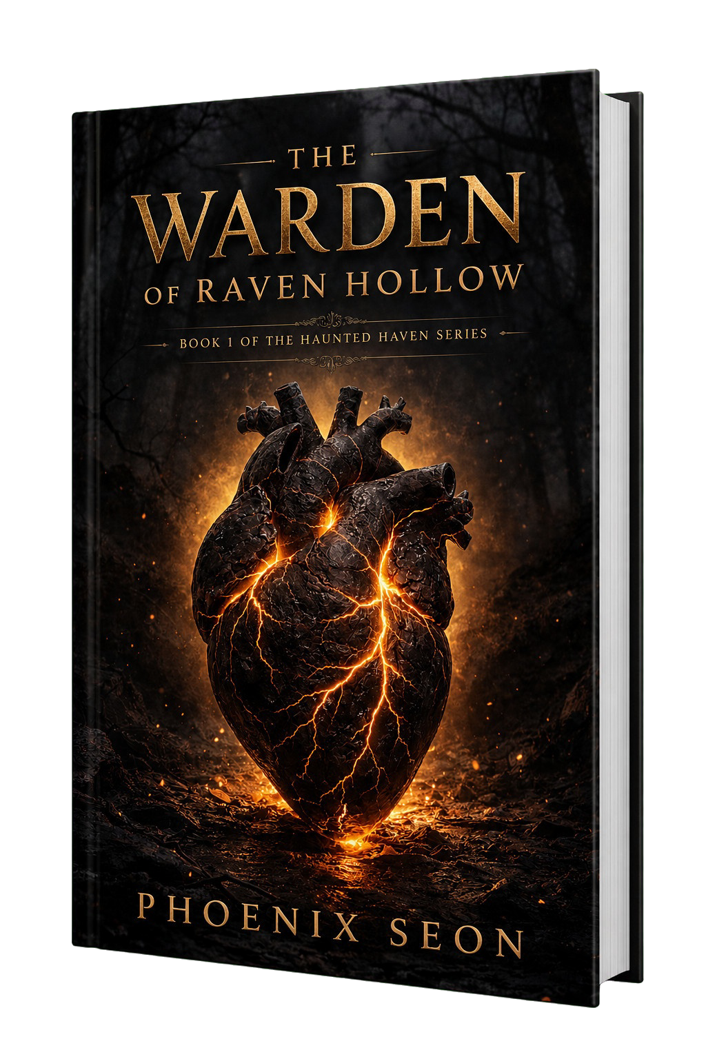 The Warden of Raven Hollow — Book 1 of the Haunted Haven series cover