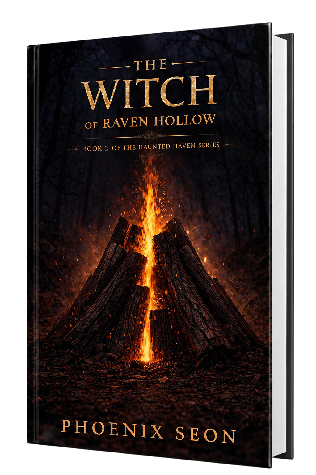 The Witch of Raven Hollow — Book 2 of the Haunted Haven series cover